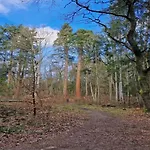 度假居 Chalet,