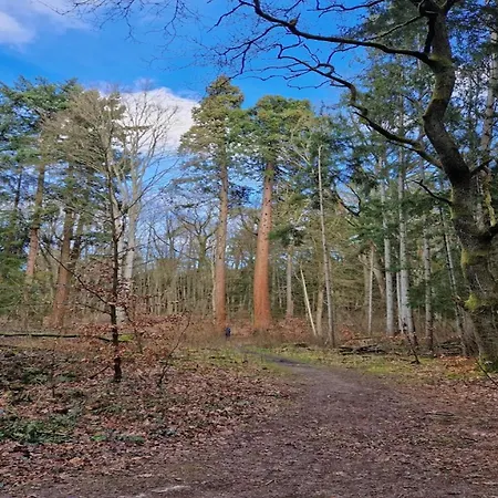 Сasa de vacaciones Chalet,