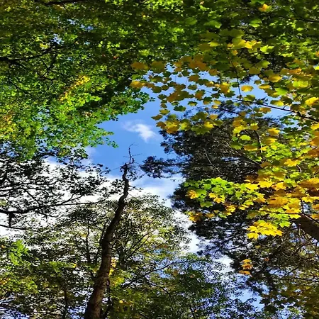 Chalet, * Wendorf (Kuhlen-Wendorf)