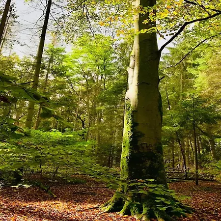 Chalet, Сasa de vacaciones Wendorf (Kuhlen-Wendorf)