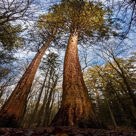 Сasa de vacaciones Chalet, Wendorf (Kuhlen-Wendorf)