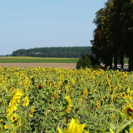 Сasa de vacaciones Chalet, *