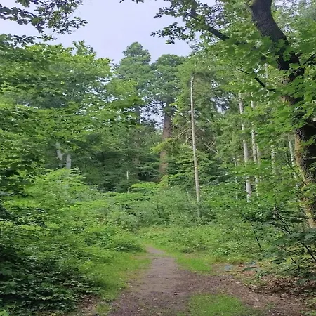 Chalet, Wendorf (Kuhlen-Wendorf)