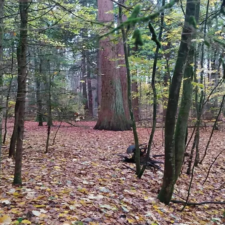 Chalet, Дом отдыха Wendorf (Kuhlen-Wendorf)