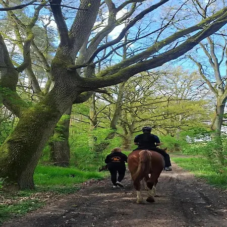 Сasa de vacaciones Chalet, *