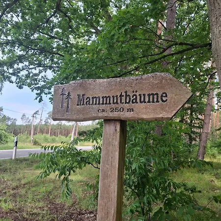 Chalet, Σπίτι διακοπών *