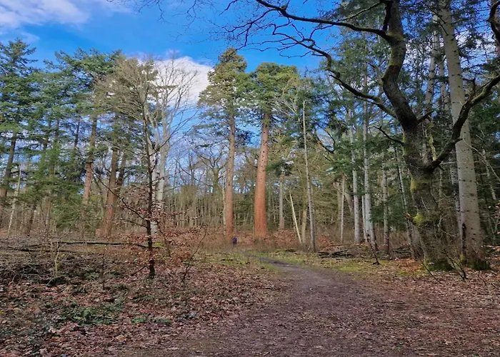 Semesterbostad Chalet,