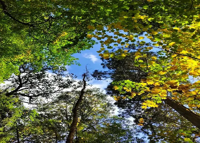 Chalet, * Wendorf (Kuhlen-Wendorf)