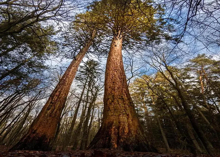 Semesterbostad Chalet, Wendorf (Kuhlen-Wendorf)
