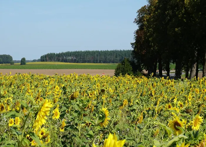 Semesterbostad Chalet, *