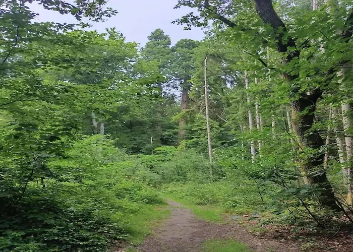 Chalet, Wendorf (Kuhlen-Wendorf)