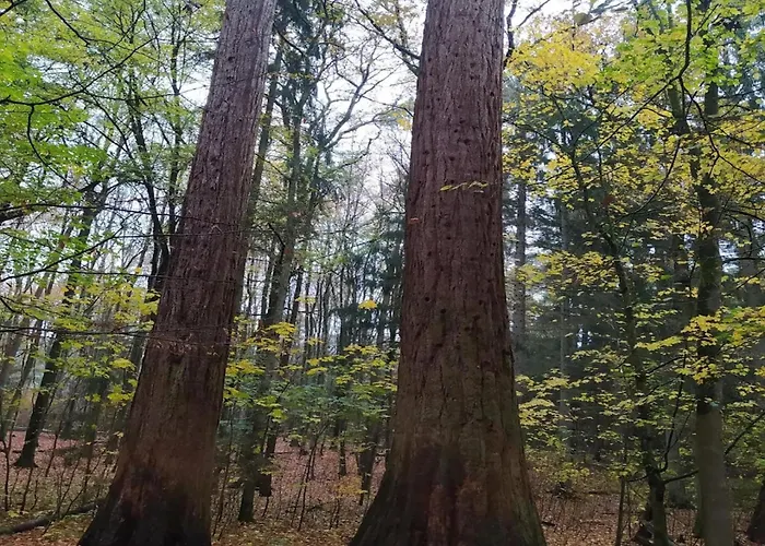 Chalet, Semesterbostad