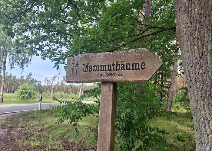 Semesterbostad Chalet,