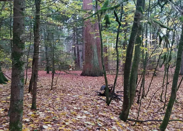 Chalet, Semesterbostad Wendorf (Kuhlen-Wendorf)