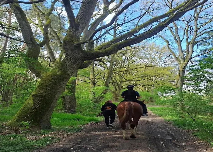 Semesterbostad Chalet, *